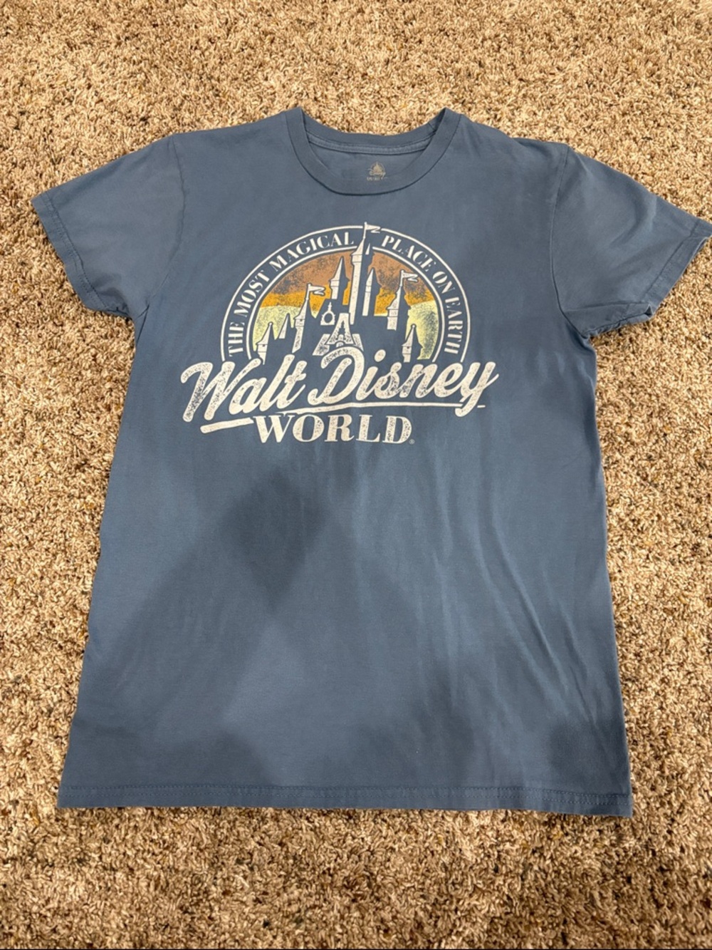 Walt Disney World Blue Graphic Tee